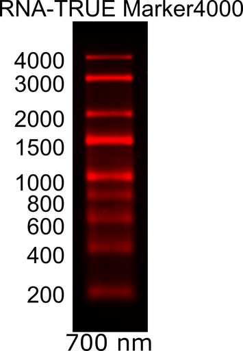 RNA-TRUE Marker4000